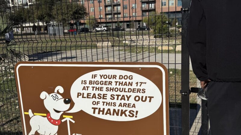 Maverick Dog Park - San Antonio, TX