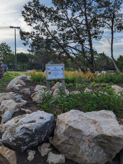 Panther Springs Dog Park - San Antonio, TX