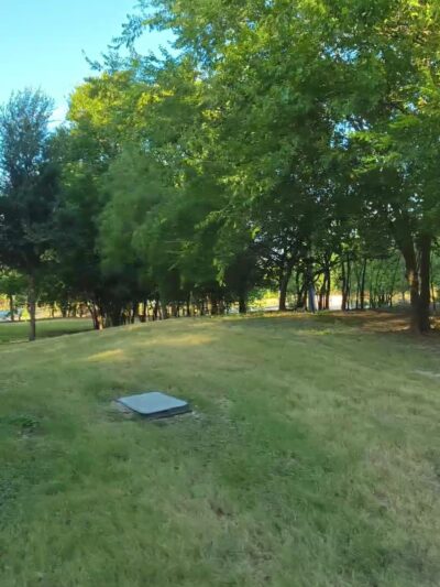 Paw Park at The Greenline - San Antonio, TX