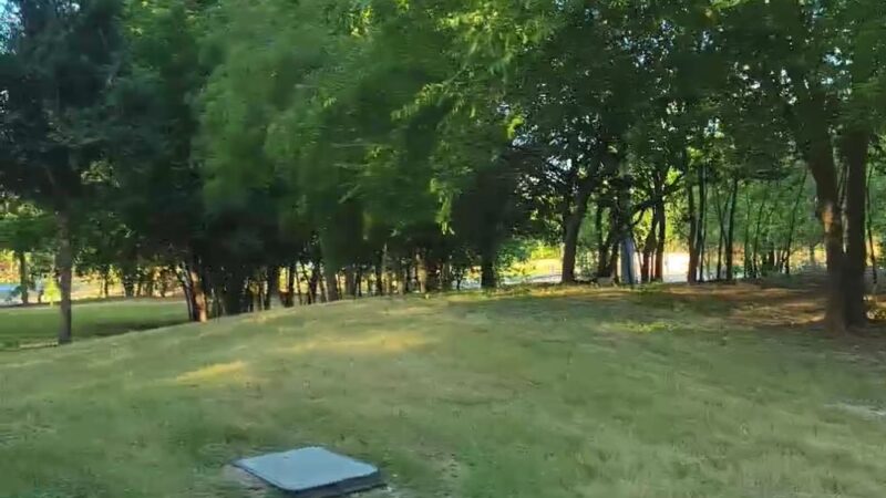 Paw Park at The Greenline - San Antonio, TX