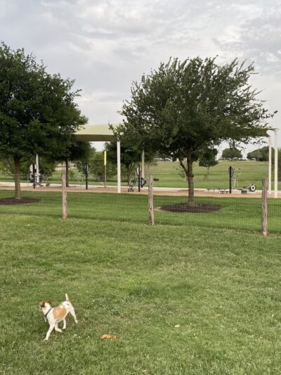 Paw Park at The Greenline - San Antonio, TX
