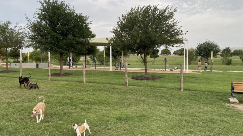 Paw Park at The Greenline - San Antonio, TX