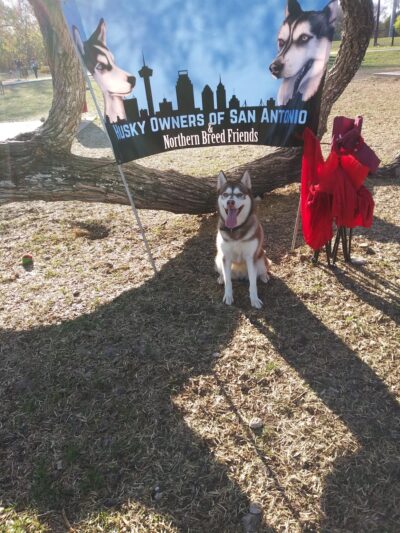 Pearsall Dog Park - San Antonio, TX
