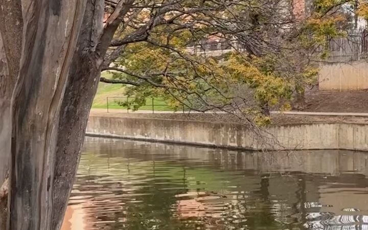 Riverwalk: Blue Star Trailhead - San Antonio, TX