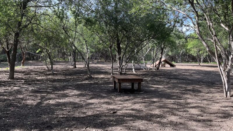 Hardberger Park - Dog Park (West) - San Antonio, TX