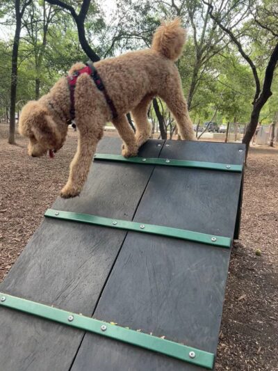 Hardberger Park - Dog Park (West) - San Antonio, TX