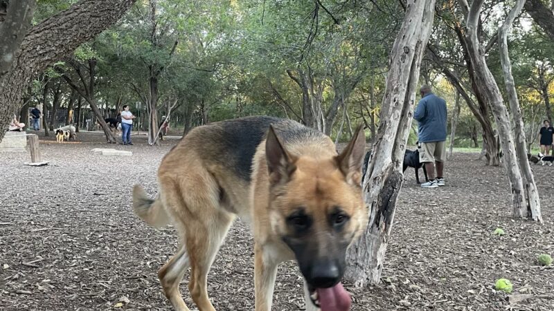 Hardberger Park - Dog Park (West) - San Antonio, TX