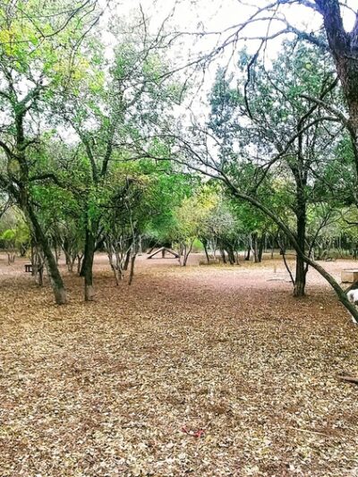 Phil Hardberger Park - Dog park - San Antonio, TX