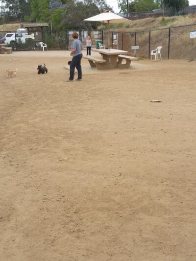 Capehart (Soledad) Dog Park - San Diego, CA