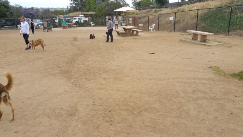 Capehart (Soledad) Dog Park - San Diego, CA