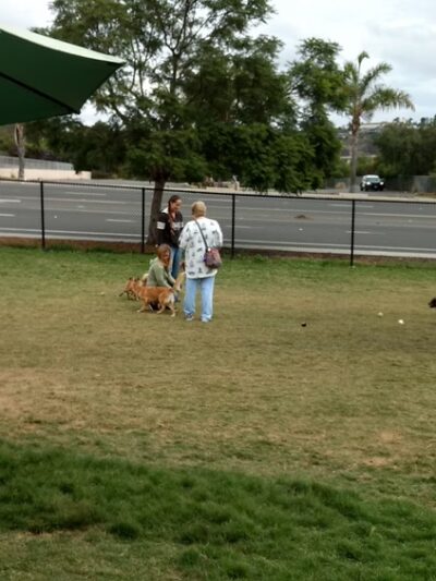 Capehart (Soledad) Dog Park - San Diego, CA