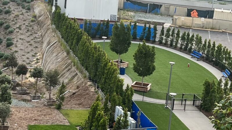 Bark park - San Diego, CA