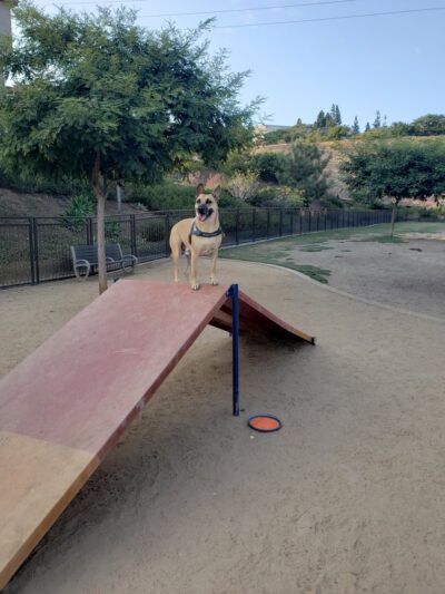 Civita Dog Park - San Diego, CA