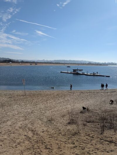 Fiesta Island Dog Park - San Diego, CA