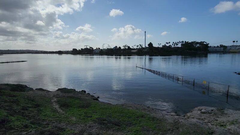 Fiesta Island Dog Park - San Diego, CA