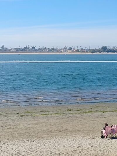 Fiesta Island Dog Park - San Diego, CA