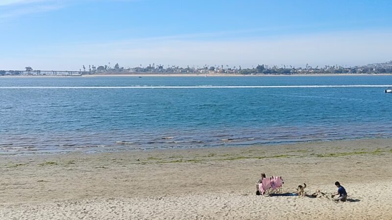 Fiesta Island Dog Park - San Diego, CA