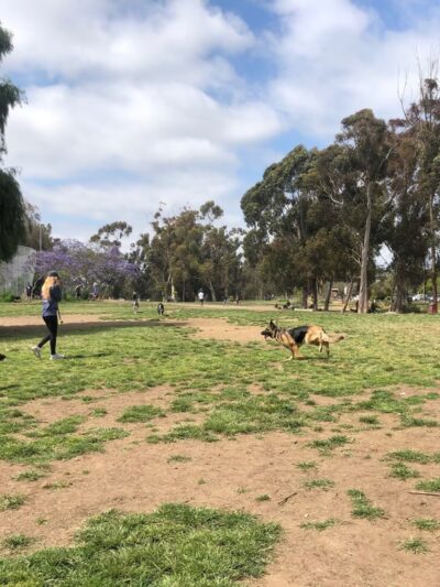 Grape Street Dog Park - San Diego, CA