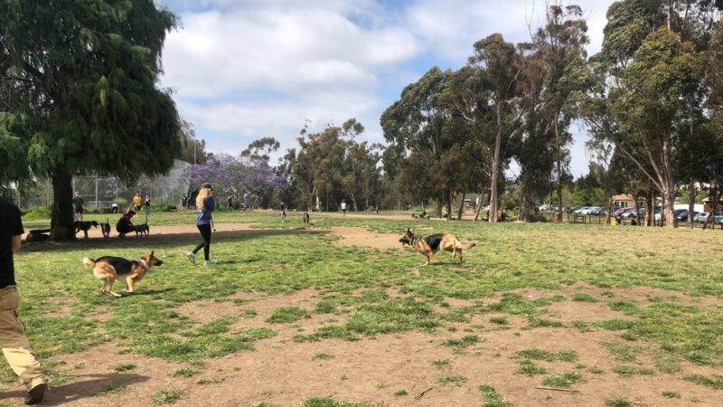 Grape Street Dog Park - San Diego, CA