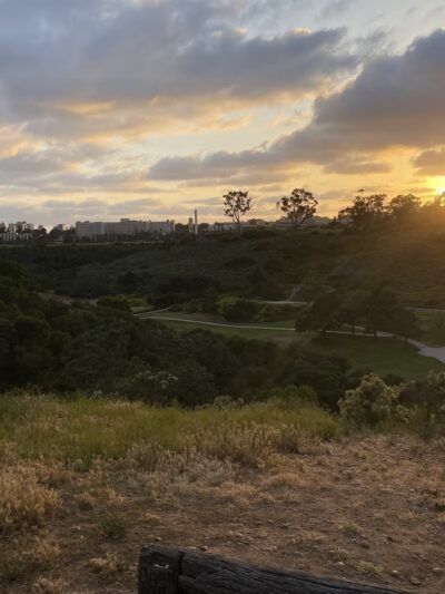 Grape Street Dog Park - San Diego, CA