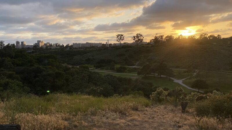 Grape Street Dog Park - San Diego, CA