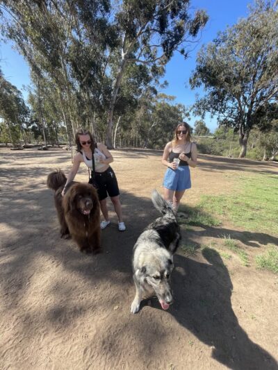 Grape Street Dog Park - San Diego, CA