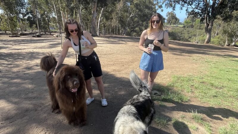 Grape Street Dog Park - San Diego, CA