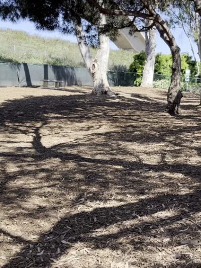 La Jolla Colony Dog Park - San Diego, CA