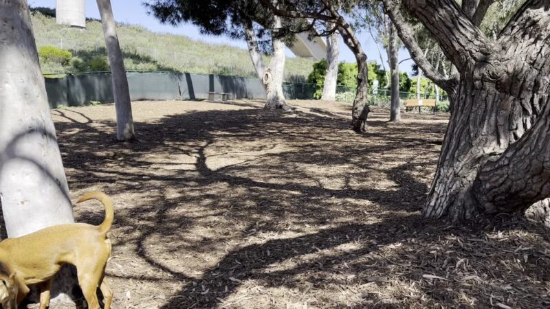 La Jolla Colony Dog Park - San Diego, CA