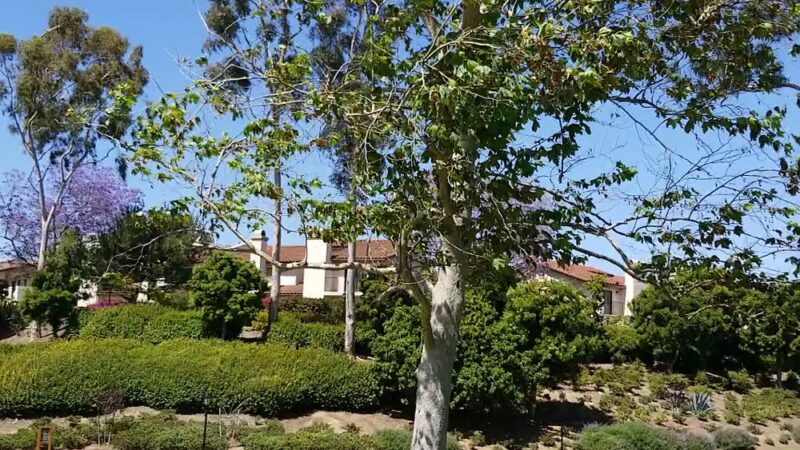 La Jolla Colony Park - San Diego, CA