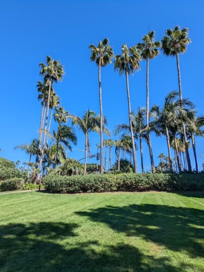 La Jolla Colony Park - San Diego, CA