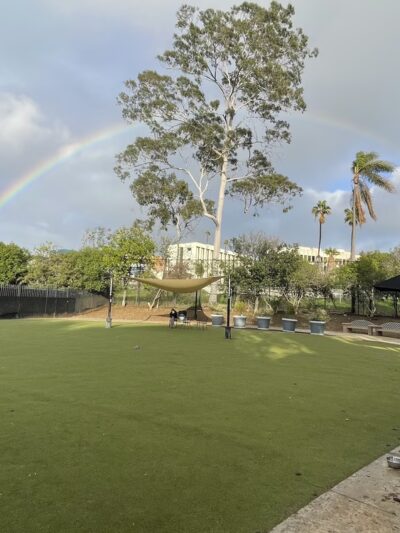 Little Italy Dog Park - San Diego, CA