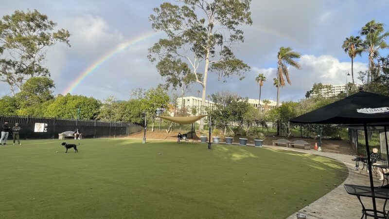 Little Italy Dog Park - San Diego, CA