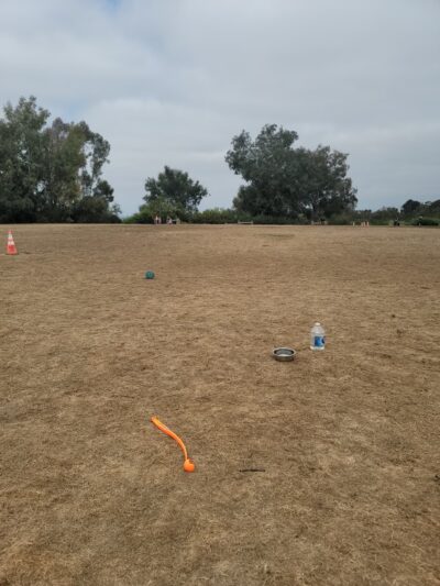 Meanley Open Dog Park - San Diego, CA