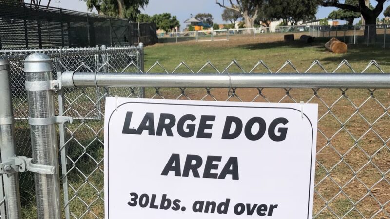 Memorial Dog Park - San Diego, CA