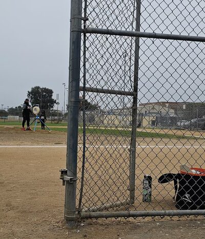 Memorial Dog Park - San Diego, CA