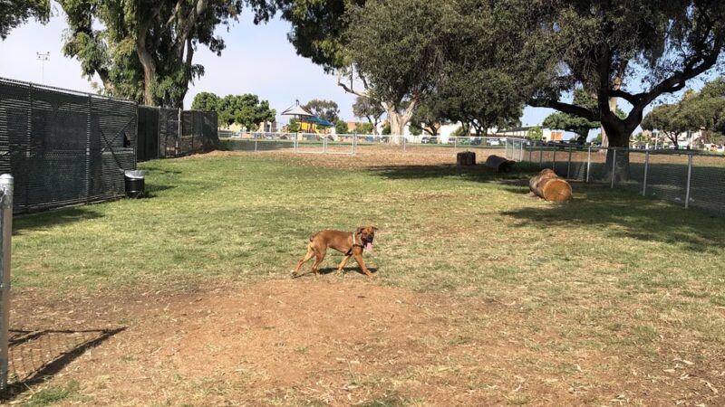 Memorial Dog Park - San Diego, CA