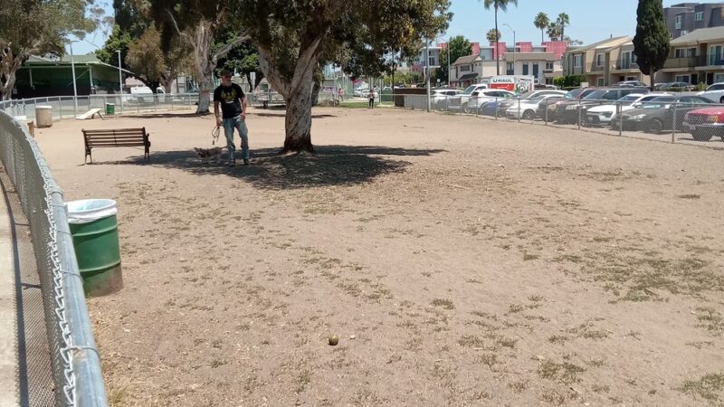 North Park Community Dog Park - San Diego, CA