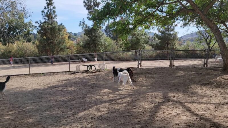 Rancho Bernardo Dog Park - San Diego, CA