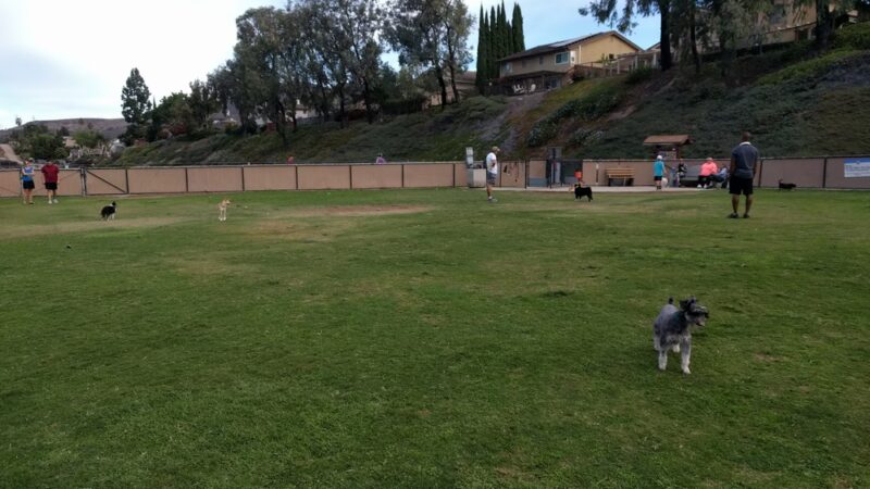 Rancho Penãsquitos Linear Dog Park - San Diego, CA