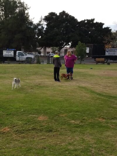 Rancho Penãsquitos Linear Dog Park - San Diego, CA