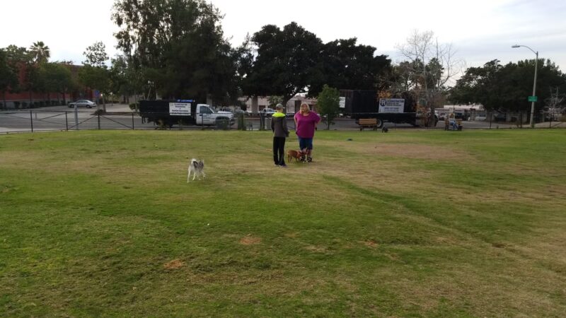 Rancho Penãsquitos Linear Dog Park - San Diego, CA