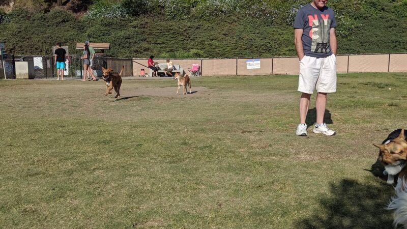 Rancho Penãsquitos Linear Dog Park - San Diego, CA