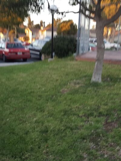 Southbay Townhome dog park - San Diego, CA