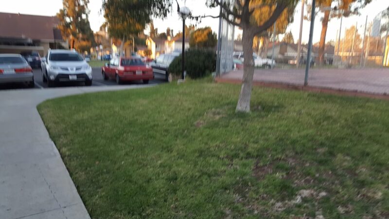 Southbay Townhome dog park - San Diego, CA