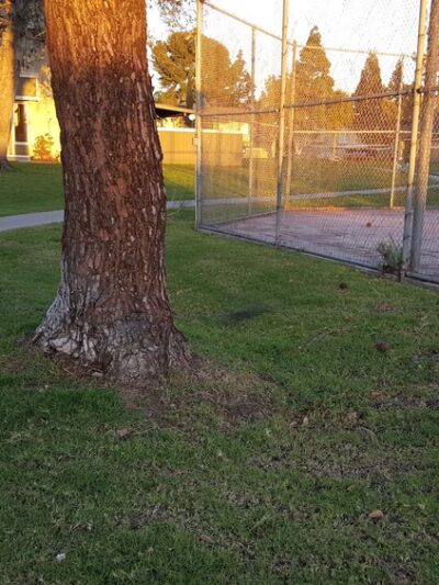 Southbay Townhome dog park - San Diego, CA