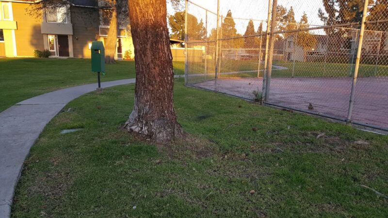 Southbay Townhome dog park - San Diego, CA