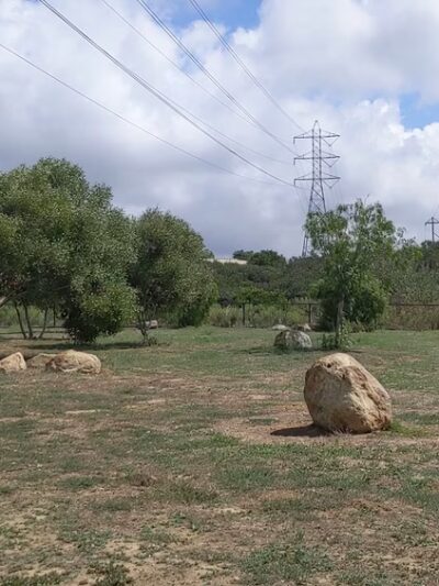 Torrey Hills Dog Park - San Diego, CA