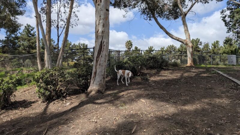 Ward Canyon Dog Park - San Diego, CA