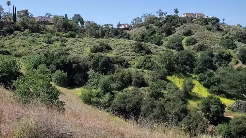 Walnut Creek Community Regional Park - San Dimas, CA